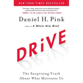 Drive: The Surprising Truth about What Motivates Us - Hardcover