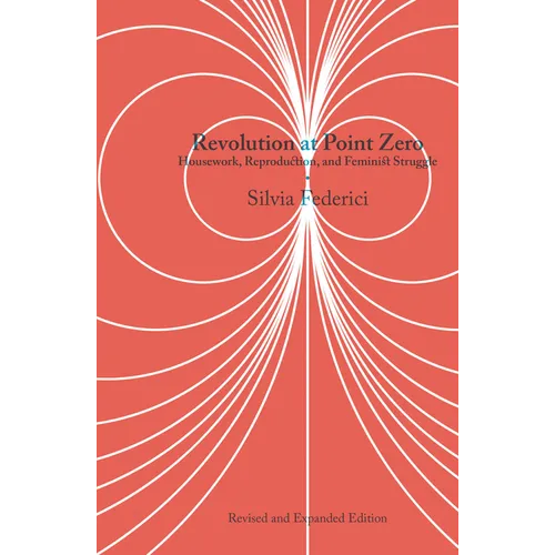 Revolution at Point Zero: Housework, Reproduction, and Feminist Struggle - Hardcover