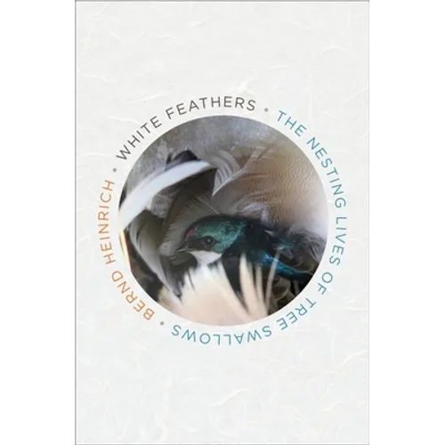 White Feathers: The Nesting Lives of Tree Swallows - Hardcover