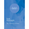 The Audacity of Peace - Paperback