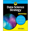 Data Science Strategy for Dummies - Paperback
