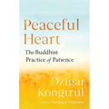 Peaceful Heart: The Buddhist Practice of Patience - Paperback