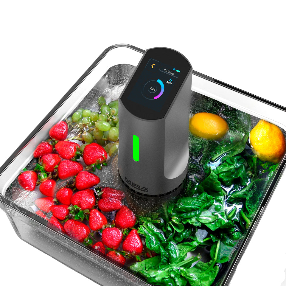 Mira Safety DTX-1 Food Detoxifier