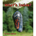 What's Inside? - Paperback