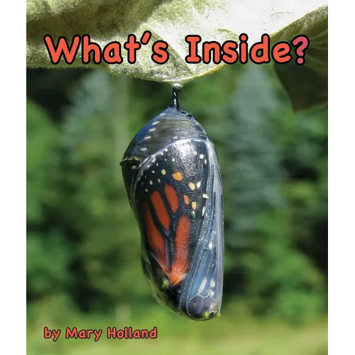 What's Inside? - Paperback