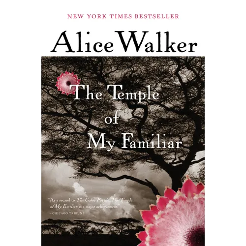 The Temple of My Familiar - Paperback