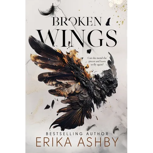 Broken Wings: A Military Romance