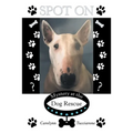 Spot On: Mystery at the Dog Rescue - Paperback