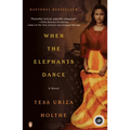 When the Elephants Dance - Paperback