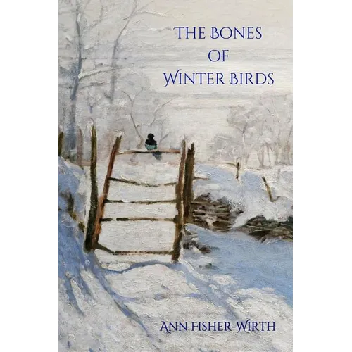 The Bones of Winter Birds - Paperback
