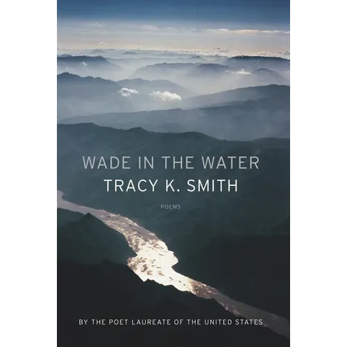 Wade in the Water: Poems - Paperback