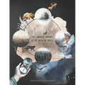 The Luminous Journey of the Medicine Wheel: Celtic and Indigenous Perspectives - Paperback