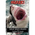 Shark! Great White Sharks of the Carolinas & Georgia