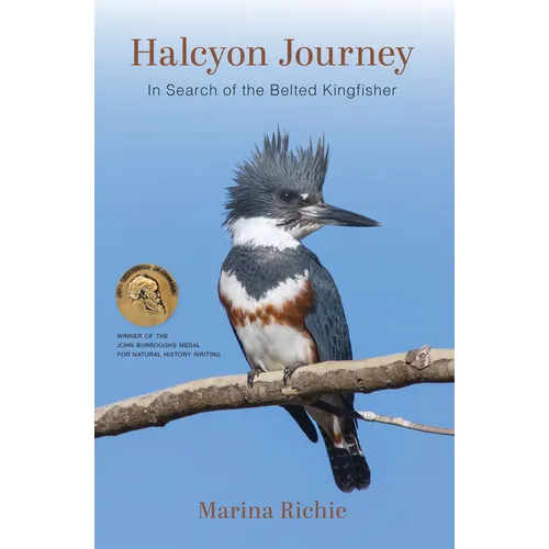 Halcyon Journey: In Search of the Belted Kingfisher - Paperback