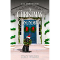 A Christmas Conundrum - Paperback