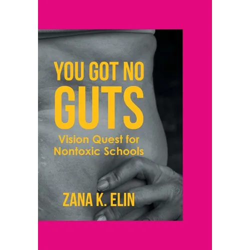 You Got No Guts: Vision Quest for Nontoxic Schools - Paperback