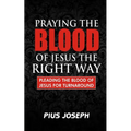 Praying the Blood of Jesus the Right Way: Pleading the Blood of Jesus for Turnaround - Paperback
