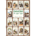 Central Park, The Early Years