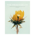 The Practice Co - Volume Three - Paperback