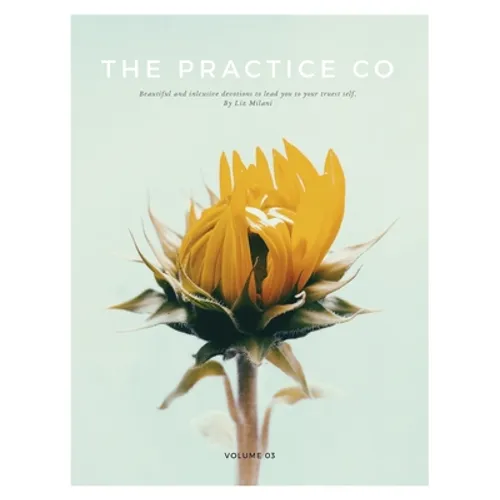 The Practice Co - Volume Three - Paperback