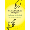 Practical Artificial Intelligence: An Enterprise Playbook - Paperback