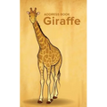 Address Book Giraffe - Paperback
