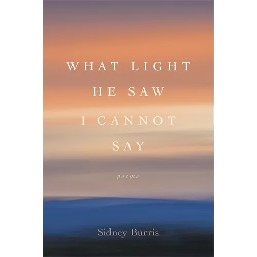 What Light He Saw I Cannot Say: Poems - Paperback