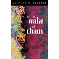 In the Wake of Chaos: Unpredictable Order in Dynamical Systems - Paperback