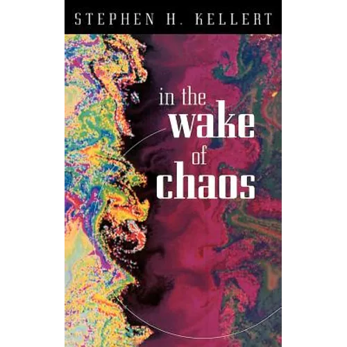 In the Wake of Chaos: Unpredictable Order in Dynamical Systems - Paperback