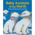 Baby Animals of the North - Paperback