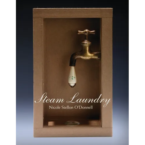 Steam Laundry - Paperback