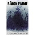 The Black Flame: Dystopian Novel - Paperback