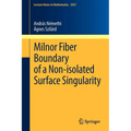 Milnor Fiber Boundary of a Non-Isolated Surface Singularity - Paperback