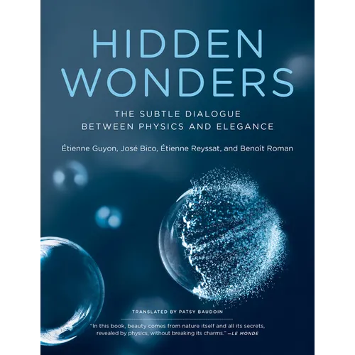 Hidden Wonders: The Subtle Dialogue Between Physics and Elegance - Paperback