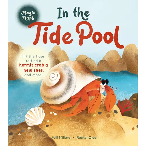 In the Tide Pool: A Magic Flaps Book - Board Book