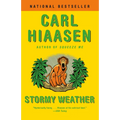 Stormy Weather - Paperback