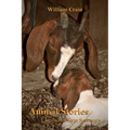 Animal Stories: Lives at a Farm Sanctuary - Paperback