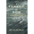 A Wilderness of Water - Paperback