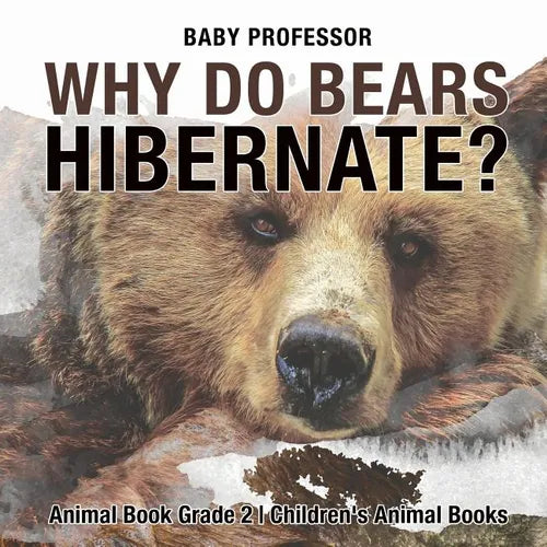 Why Do Bears Hibernate? Animal Book Grade 2 Children's Animal Books - Paperback