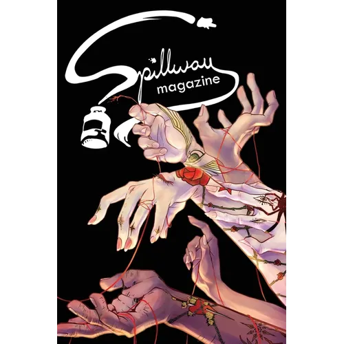 Spillway Magazine: Volume 2, Issue 30 - Paperback