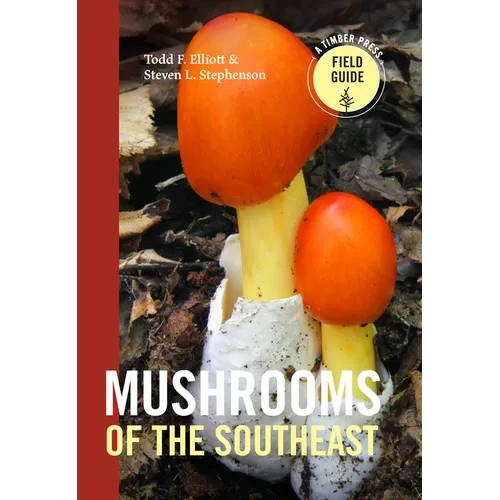 Mushrooms of the Southeast - Paperback