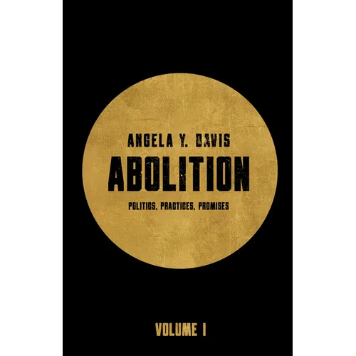 Abolition: Politics, Practices, Promises, Vol. 1 - Paperback