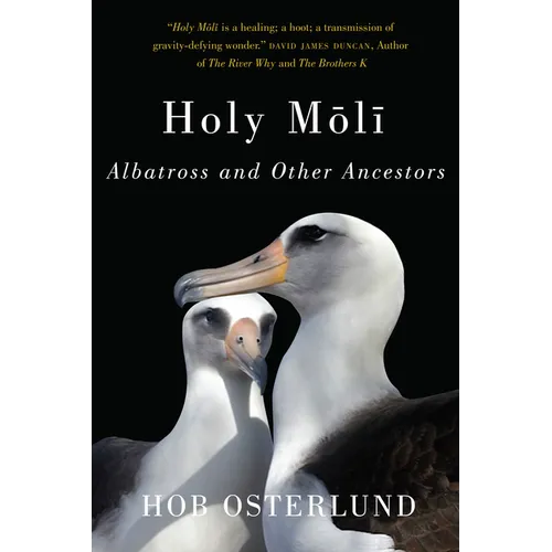 Holy Moli: Albatross and Other Ancestors - Paperback