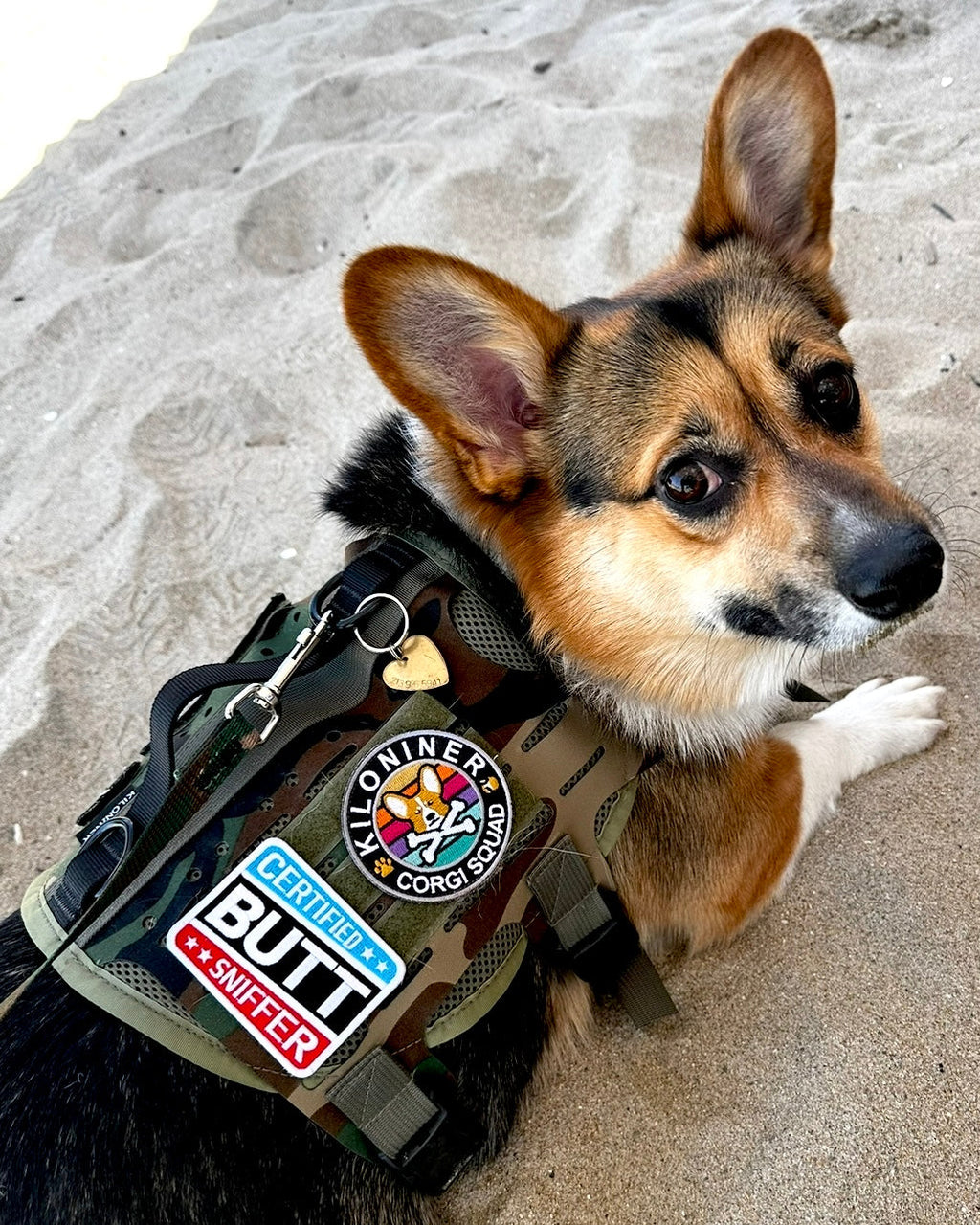 Certified Silly Goose Morale Patch
