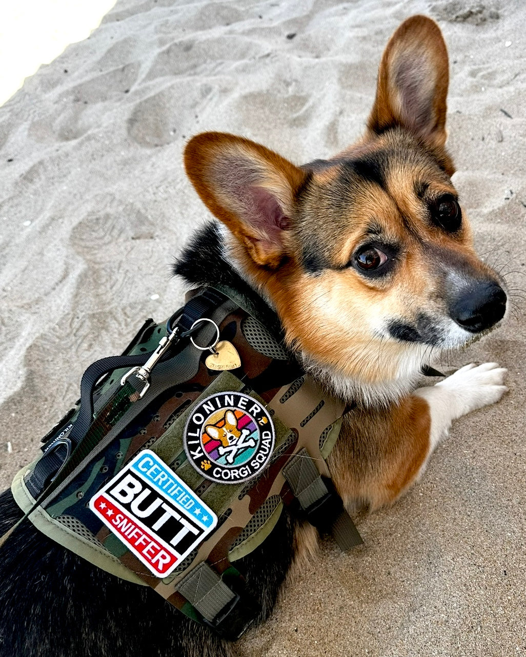 Certified Silly Goose Morale Patch