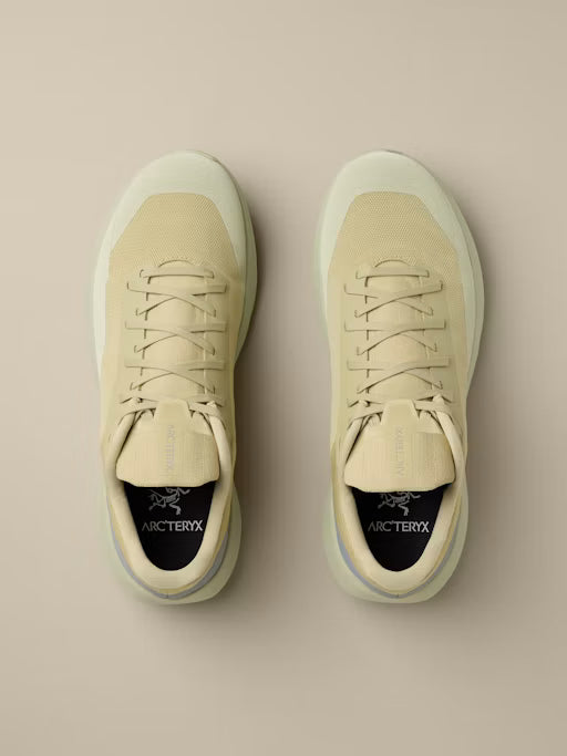 Arc'teryx Norvan LD 4 Shoe