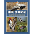 Birds of Kansas - Hardcover