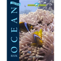 The New Ocean Book - Hardcover