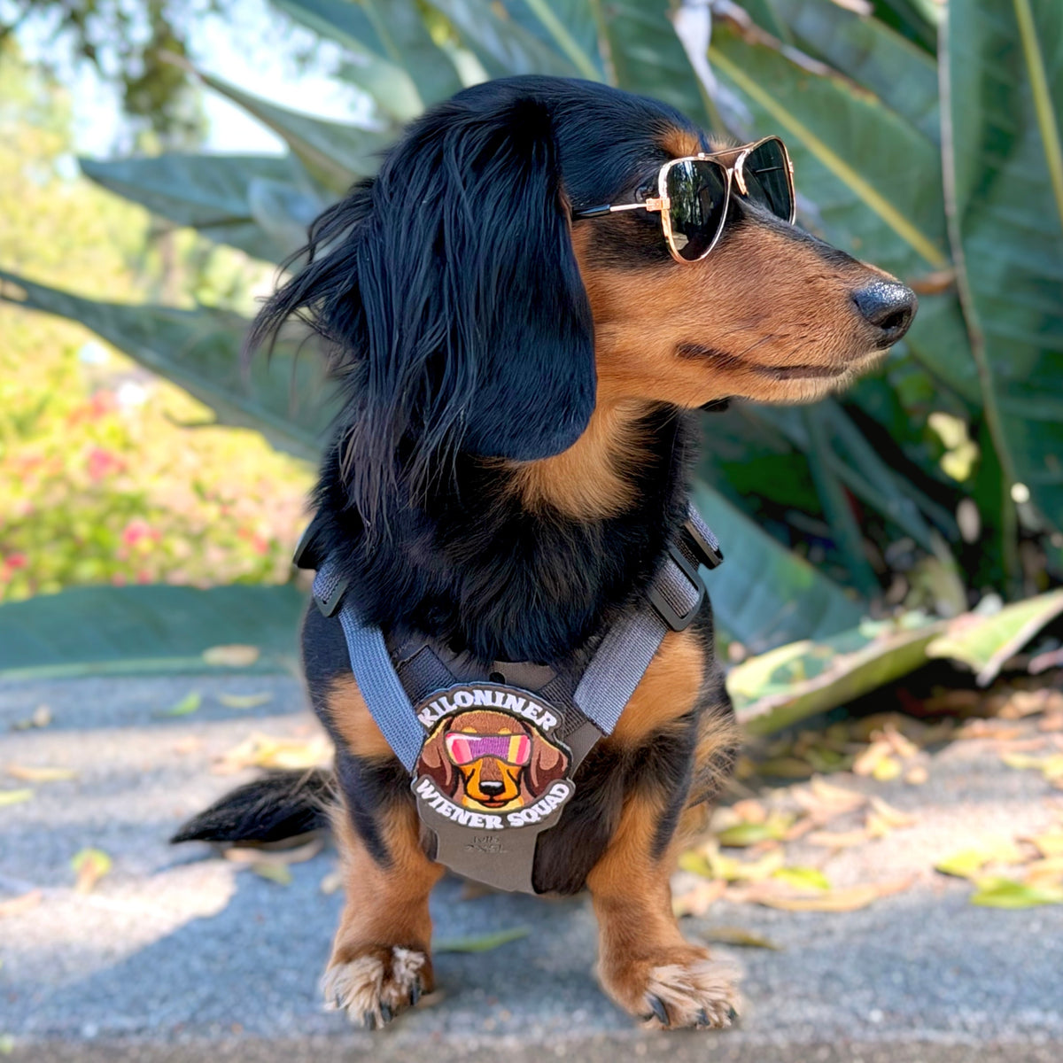 Kiloniner Wiener Squad Morale Patch