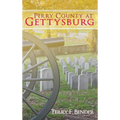 Perry County at Gettysburg - Hardcover